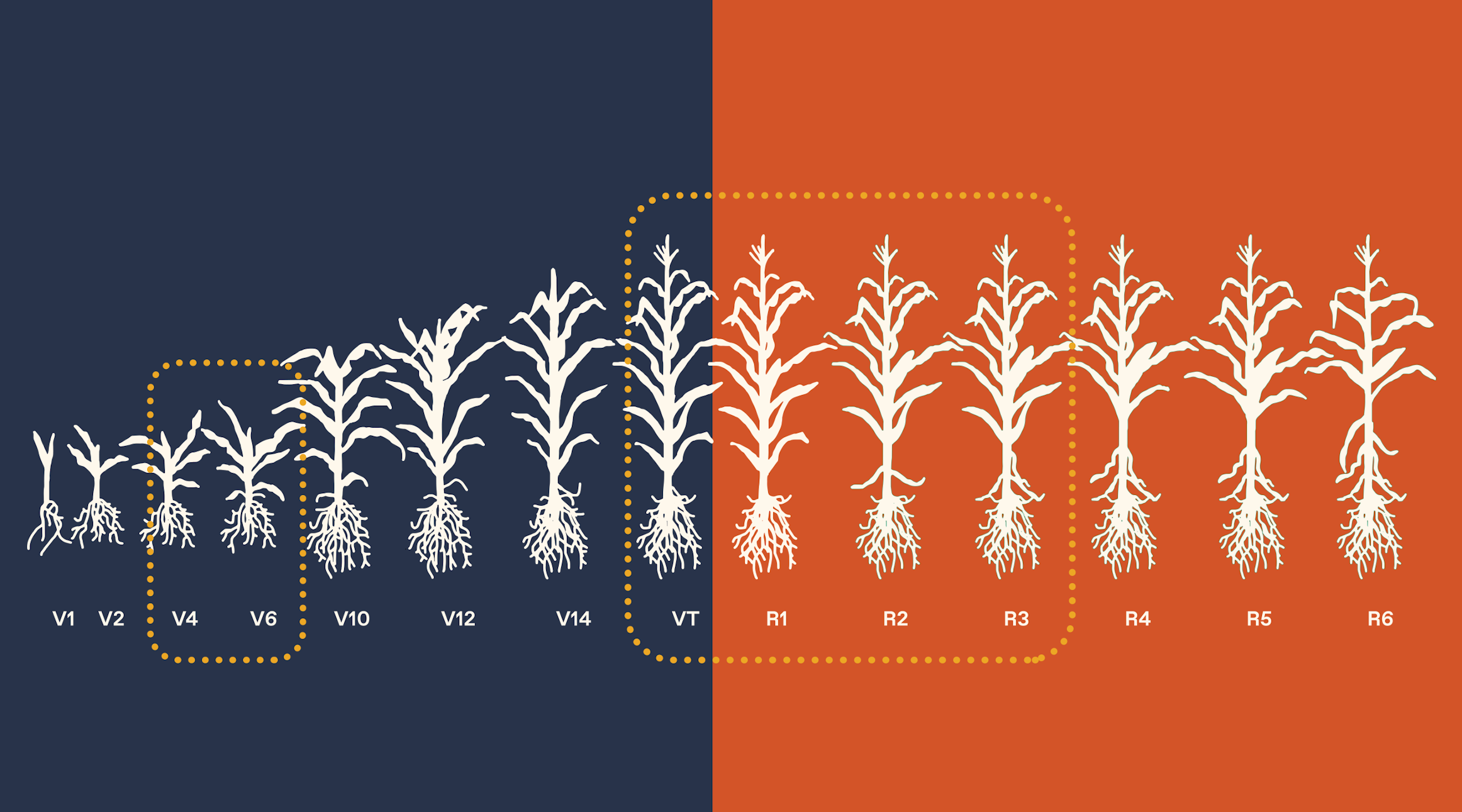 Application Chart Corn R1 A